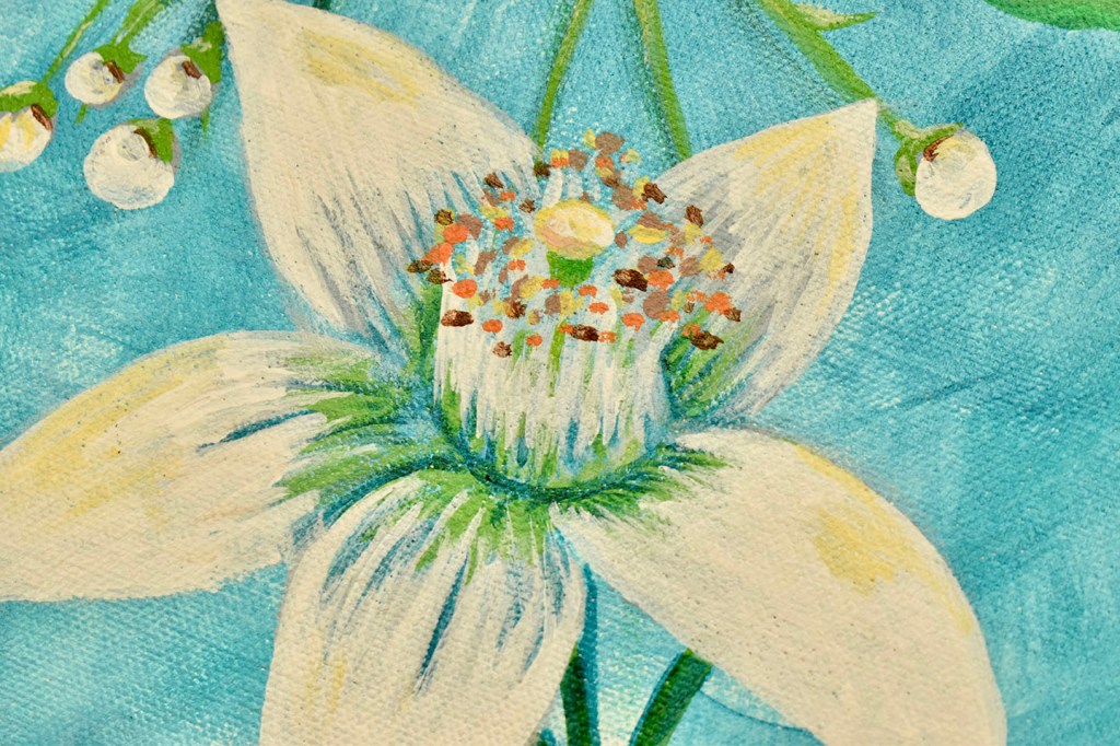 orange blossoms acrylic on canvas