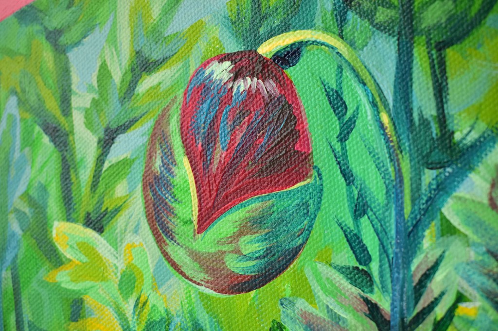 pink poppy opening acrylic on canvas