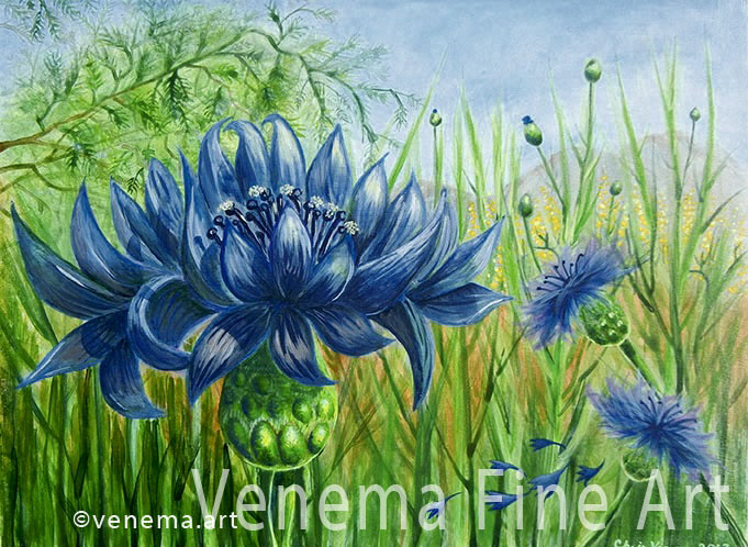 batchelor-button-wildflowers venema painting