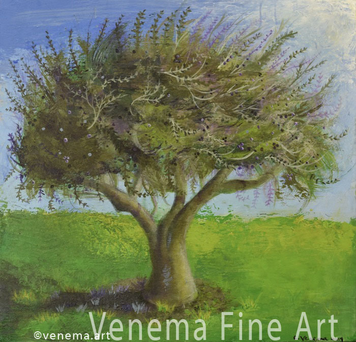olive-tree-venema-painting original and prints for sale