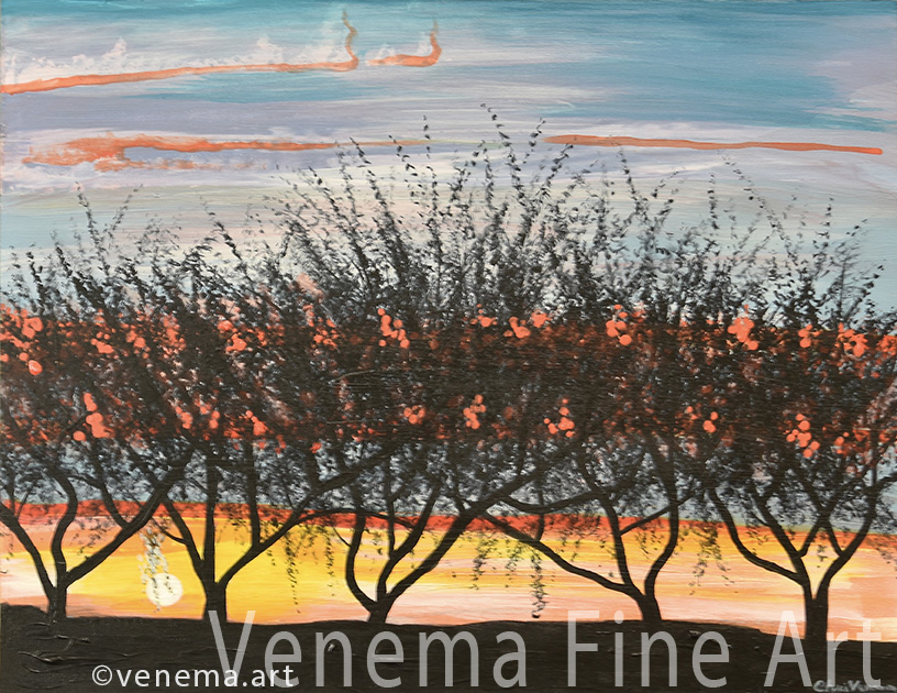 Palo Verde Sunset painting original and prints for sale