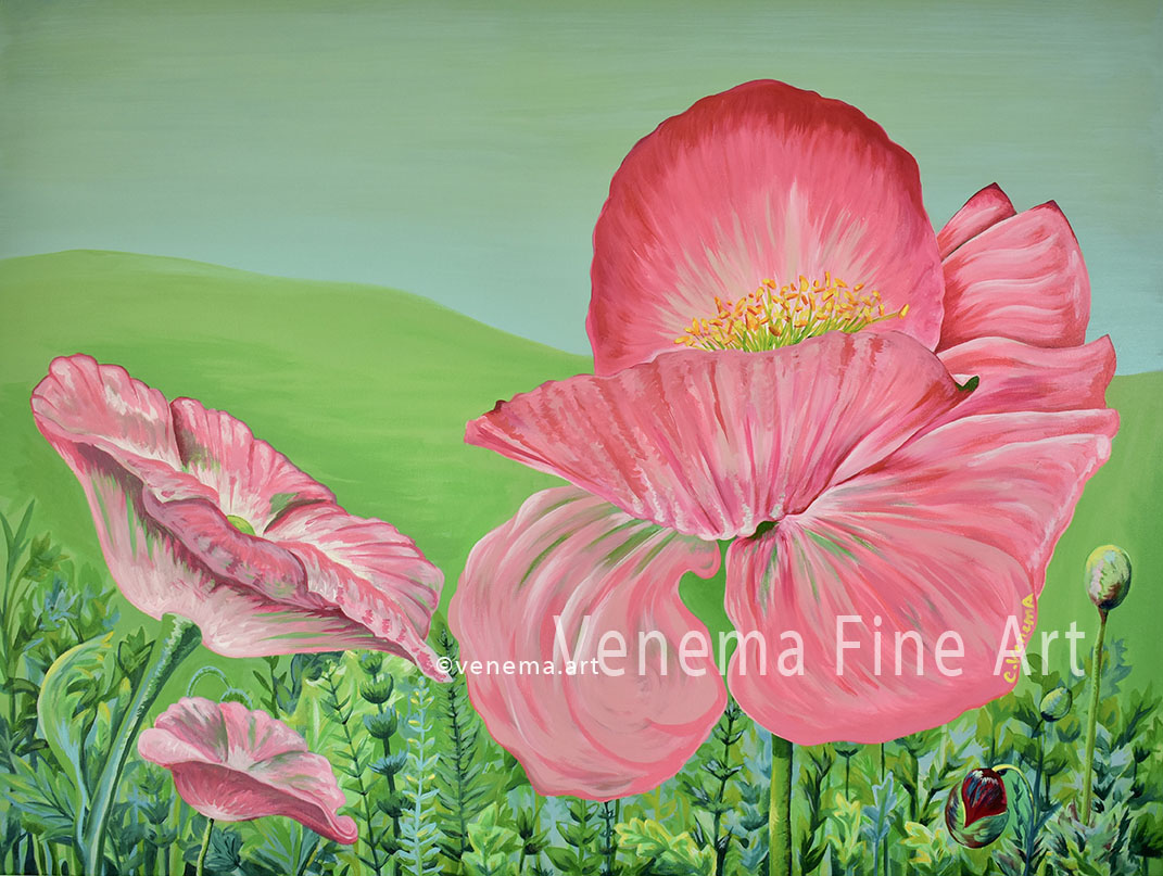 pink-poppies Venema artist acrylic painting and prints for sale