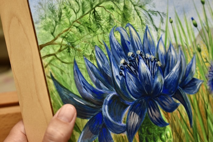 bachelor button acrylic on board artist chris venema