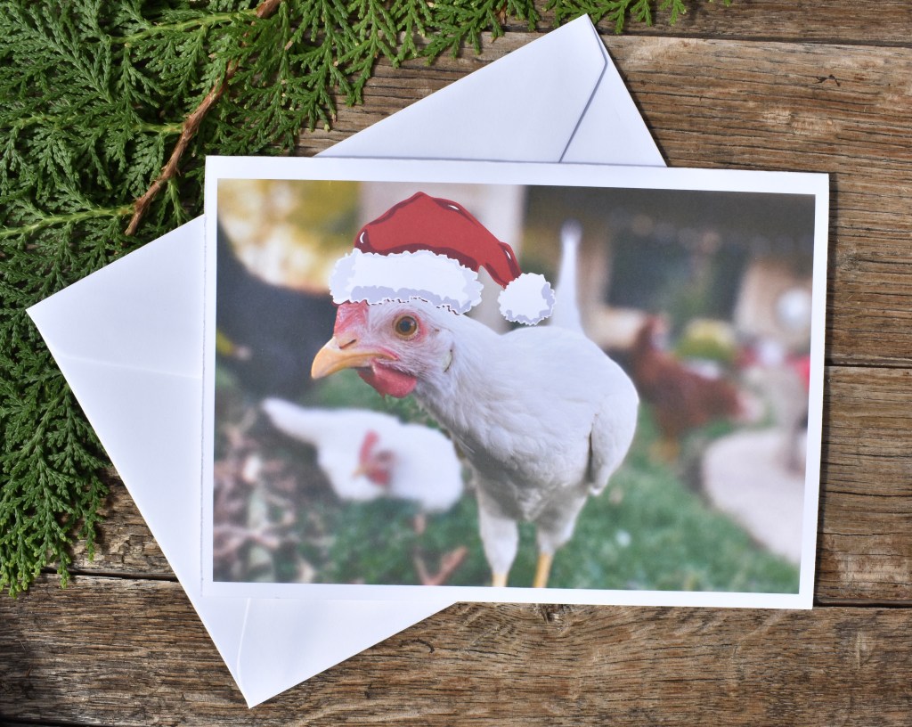 Holiday Chicken with a Santa Hat