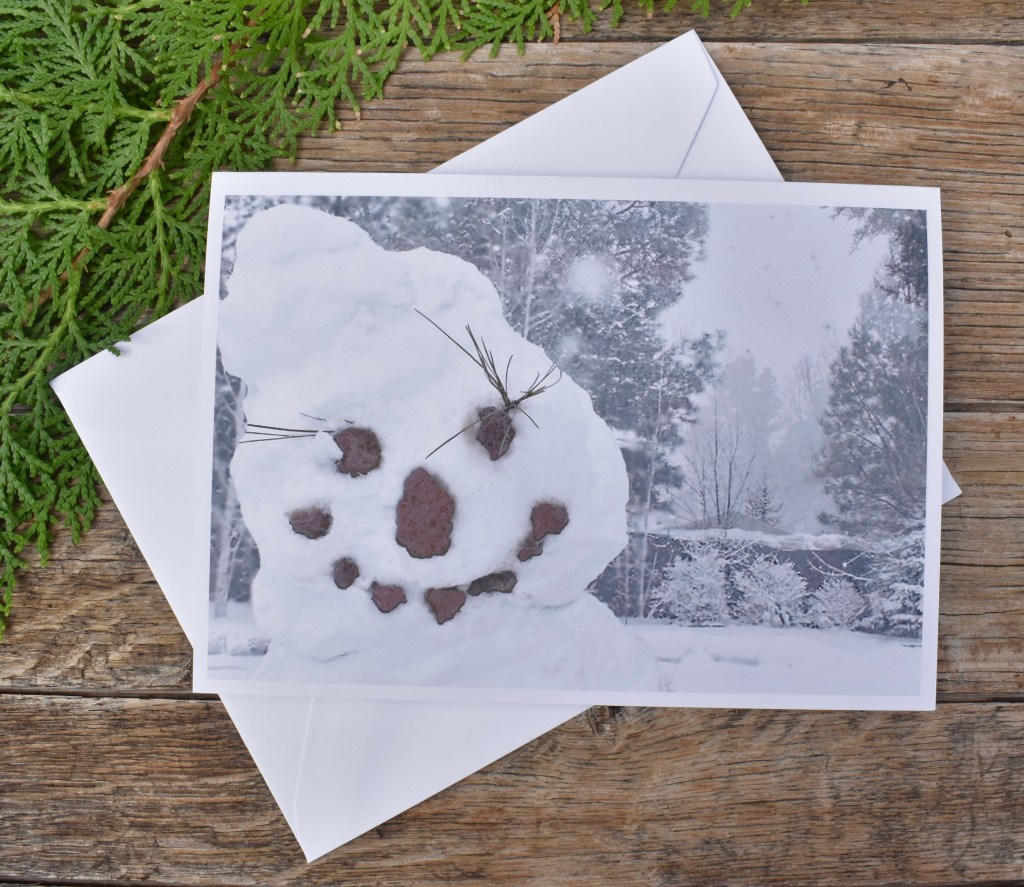 Smiley Snowman in the Winter Snow Fall
